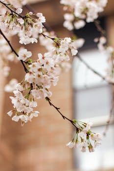 春天里听奋进中国铿锵足音 写在2026年全国两会召开之际