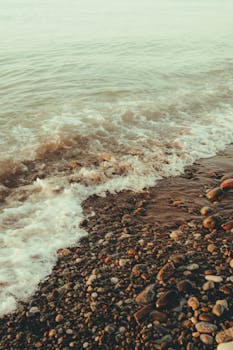 超级杯-国安2-0海港夺冠 达万曹永竞建功武磊复出