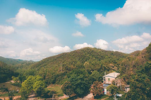 飞天茅台批价三日连跌百元，“散户大军”正重塑价格生态