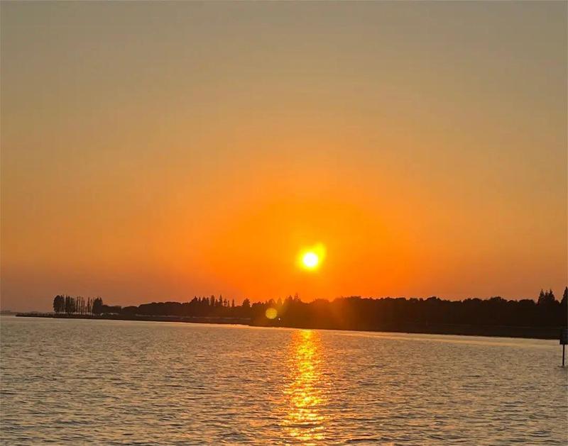 千问用一场离职风波，拿到了与豆包一战的入场券？