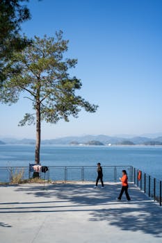 私募信披细则征求意见；阳光穿透全链条，投资者权益获显著保障。