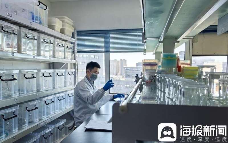 隐秘添加物曝光,网红食品暗藏风险;消费者警惕保健骗局。 健康养生 隐秘添加物曝光,网红食品暗藏风险;消费者警惕保健骗局。 健康养生