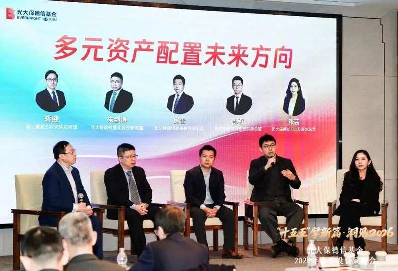 经济转型关键节点；多元配置路径解析。