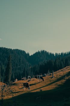 清除资本市场拦路虎;证监会纪检监察工作部署详解。 股票财经 清除资本市场拦路虎;证监会纪检监察工作部署详解。 股票财经 清除资本市场拦路虎;证监会纪检监察工作部署详解。 股票财经 清除资本市场拦路虎;证监会纪检监察工作部署详解。 股票财经