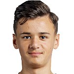 深层解析:为何豪门总爱“回购”自家旧将?揭秘阿拉伊贝戈维奇回归背后的战术博弈 体育新闻