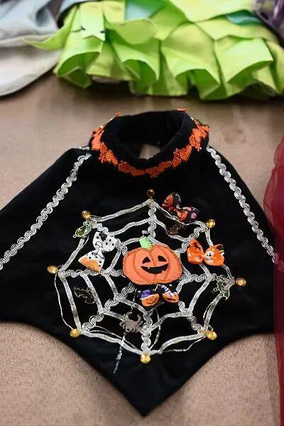 从外婆的针线活到宠物高定:一位78岁上海奶奶的技术突围 时尚用品