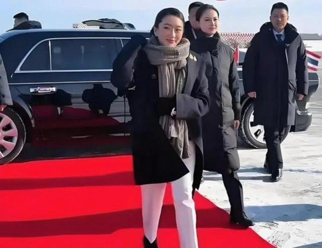  安保行业深度剖析：身高之外的专业素养——严月霞实战能力解读 新闻