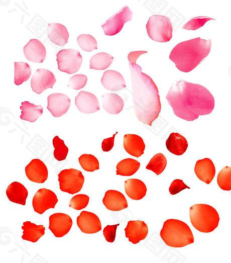  科创板IPO周报：量子科技赛道的资本变局与研发强度警示 股票财经