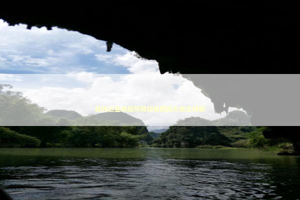 英伟达业绩超预期却暴跌四大悬念待解