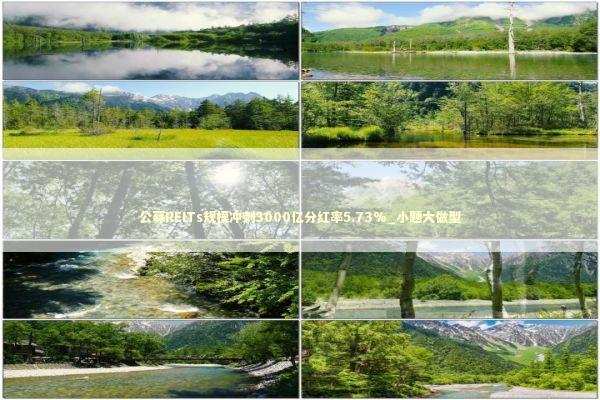 公募REITs规模冲刺3000亿分红率5.73%_小题大做型