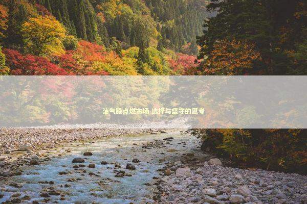 油气股点燃市场 选择与坚守的思考