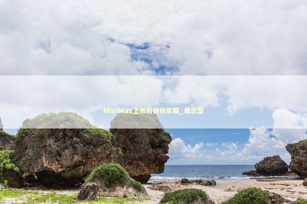 MiniMax上市后首份年报_悬念型