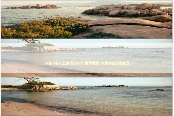 MiniMax上市后首份年报营收增-MiniMax抒情型