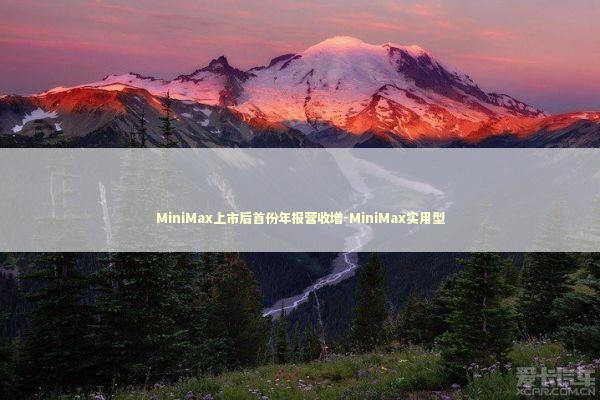 MiniMax上市后首份年报营收增-MiniMax实用型