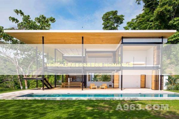 MiniMax上市后首份年报营收增-MiniMax对比型