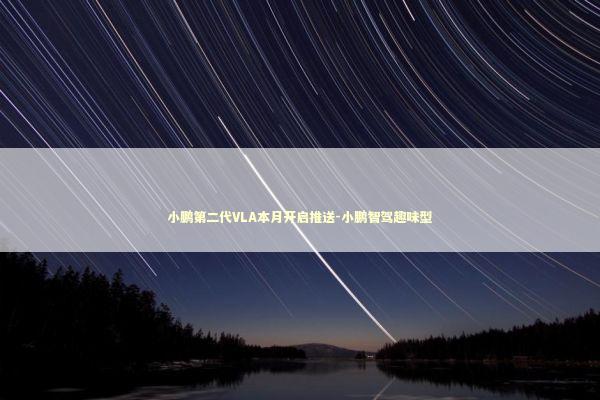 小鹏第二代VLA本月开启推送-小鹏智驾趣味型