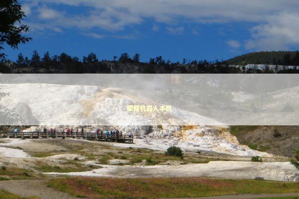 荣耀机器人手机