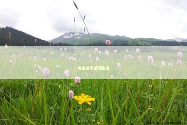 黄金避险逻辑生变