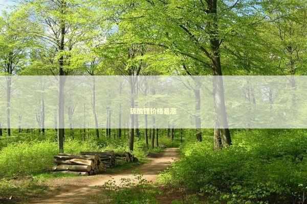 碳酸锂价格暴涨