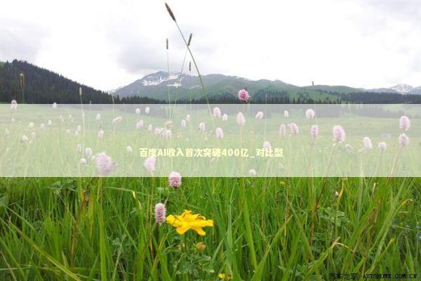 百度AI收入首次突破400亿_对比型