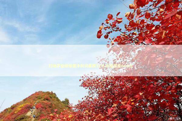 扫地茅业绩爆雷净利润暴跌31%市值蒸发600亿