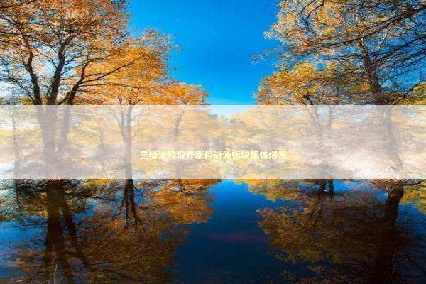 三桶油股价齐涨停能源板块集体爆发