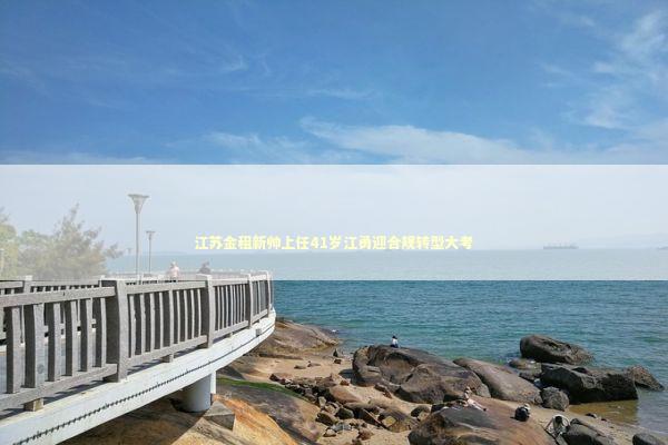 江苏金租新帅上任41岁江勇迎合规转型大考