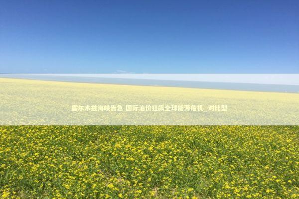 霍尔木兹海峡告急 国际油价狂飙全球能源危机_对比型