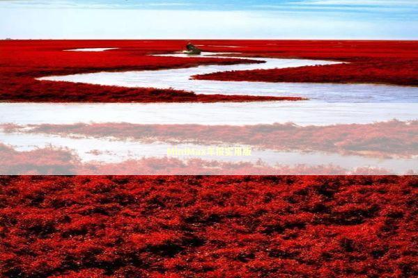 MiniMax年报实用版