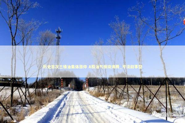 历史首次三桶油集体涨停 A股油气板块沸腾_平淡叙事型