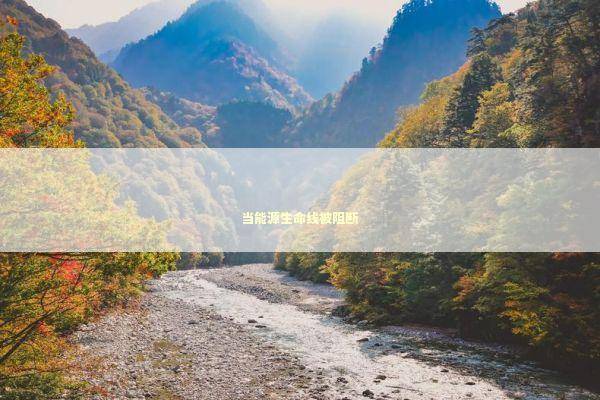 当能源生命线被阻断