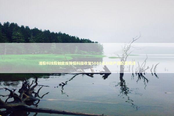 港股科技股触底反弹恒科指收复5000点AI资产迎配置机遇