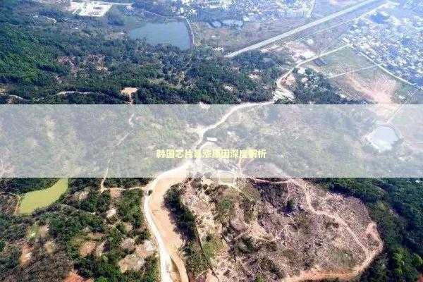 韩国芯片暴涨原因深度解析