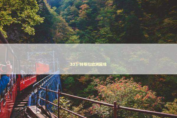 333-特斯拉欧洲困境