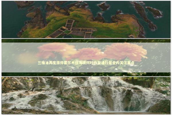 三桶油再度涨停霍尔木兹海峡何时恢复通行是业内关注重点