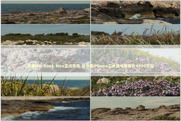 苹果MacBook Neo正式发布 首次用iPhone芯片做电脑售价4599元起