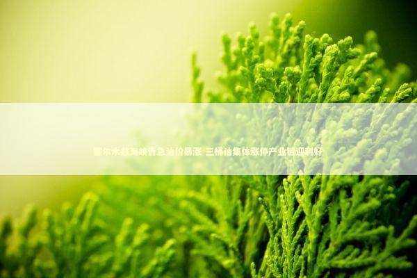 霍尔木兹海峡告急油价暴涨 三桶油集体涨停产业链迎利好