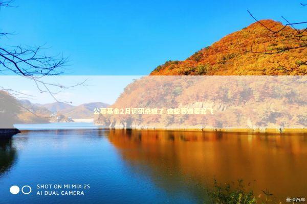 公募基金2月调研杀疯了 这些赛道要起飞