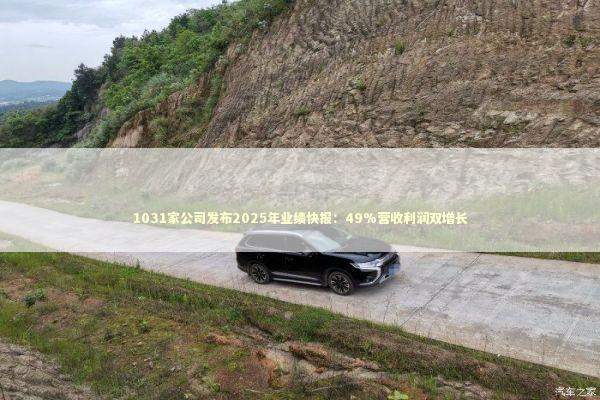 1031家公司发布2025年业绩快报：49%营收利润双增长