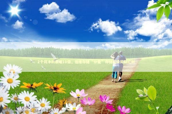 2个月净利暴增10倍，佰维存储“分羹”存储超级周期红利