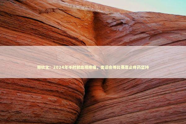 郑钦文：2024年手肘就出现疼痛，奥运会等比赛靠止疼药坚持