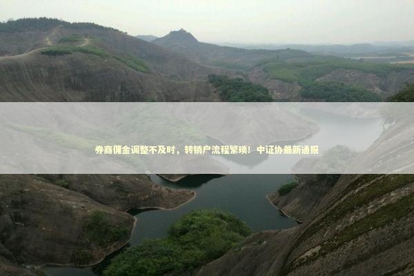 券商佣金调整不及时，转销户流程繁琐！中证协最新通报