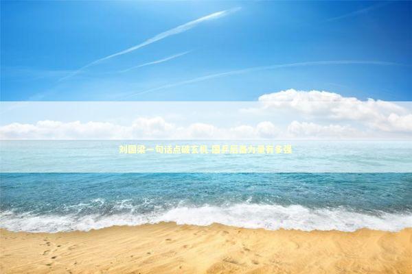 刘国梁一句话点破玄机 国乒后备力量有多强