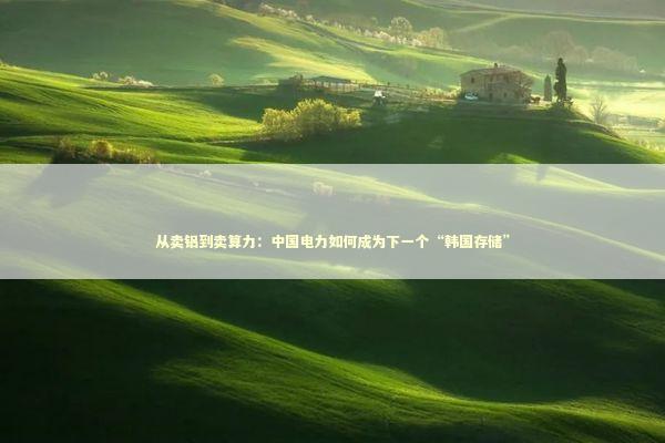 从卖铝到卖算力：中国电力如何成为下一个“韩国存储”