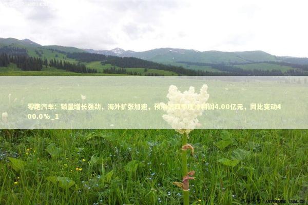 零跑汽车：销量增长强劲，海外扩张加速，预测第四季度净利润4.00亿元，同比变动400.0%_1