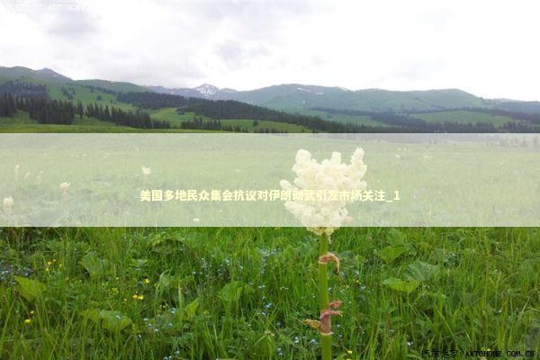 美国多地民众集会抗议对伊朗动武引发市场关注_1