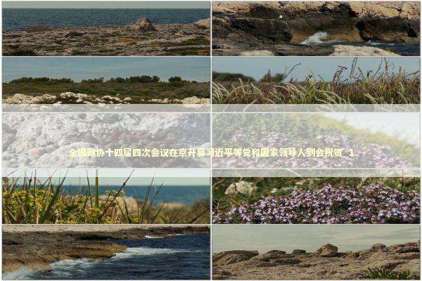 全国政协十四届四次会议在京开幕习近平等党和国家领导人到会祝贺_1