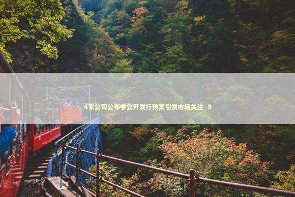 4家公司公布非公开发行预案引发市场关注_9