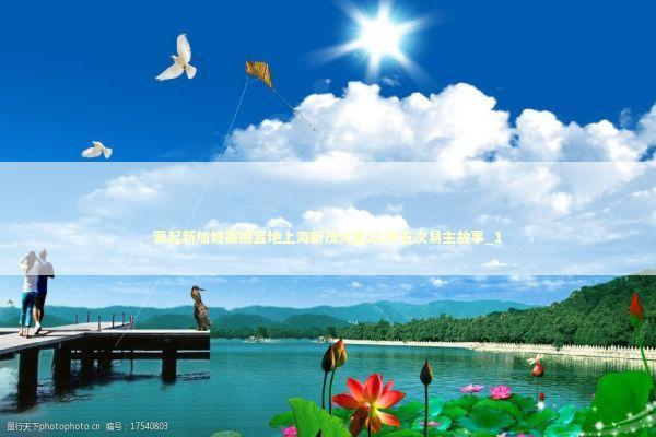 源起新加坡嘉德置地上海新茂大厦21年五次易主故事_1