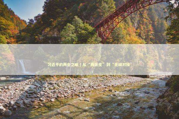 习近平的两会之喻｜从“两张皮”到“无缝对接”